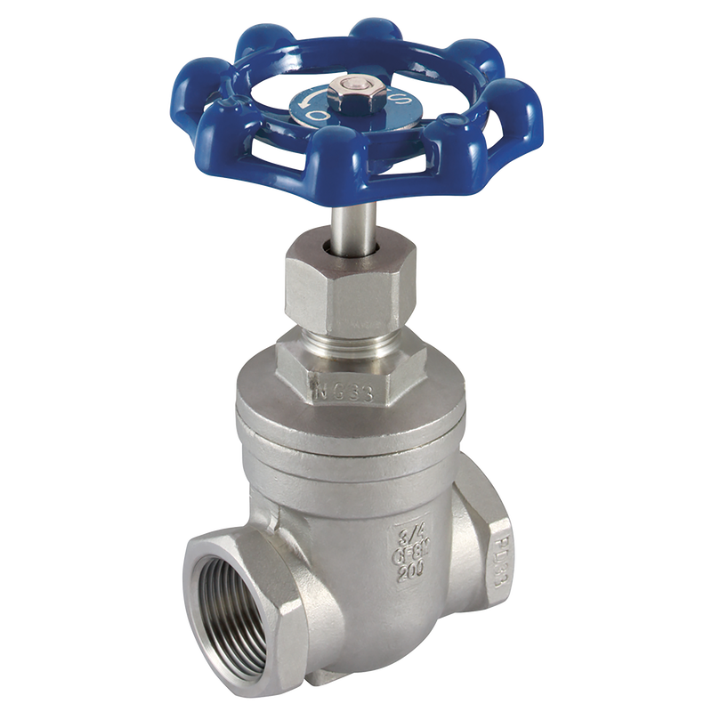BSP 316 ST/STEEL GATE VALVE