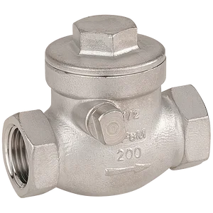 BSP 316 ST/ST SWING CHECK VALVE