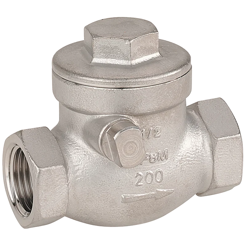 BSP 316 ST/ST SWING CHECK VALVE