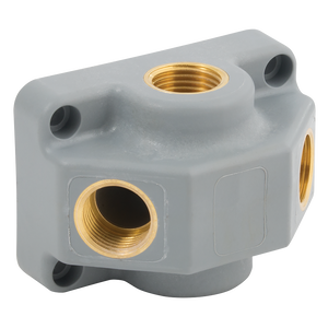 2X1/2 BSPP INLET  2X1/2 BSPP OUTLETS