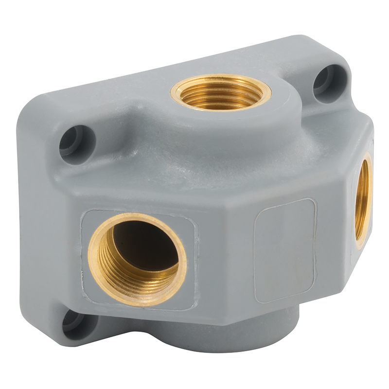 2X1/2 BSPP INLET 2X1/2 BSPP OUTLETS