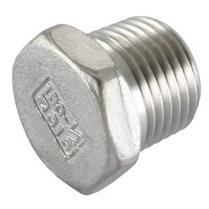 BSPT HEX BLANK PLUG ST/STEEL 316