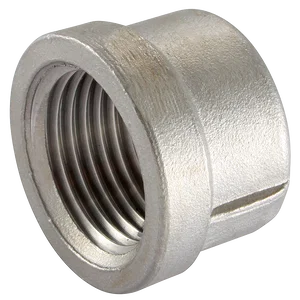 BSP ROUND BLANKING CAP 316