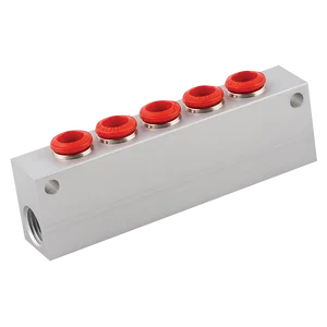 BSPP FEM 5-WAY MANIFOLD