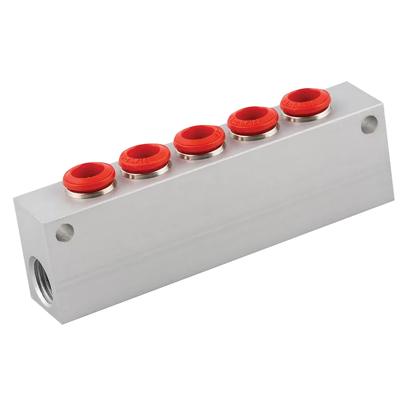 BSPP FEM 5-WAY MANIFOLD