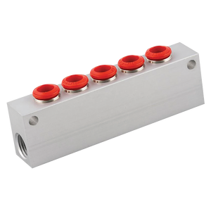 BSPP FEM 5-WAY MANIFOLD