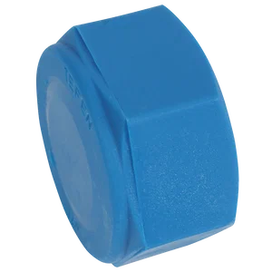 BSPT FEMALE BLANKING CAP BLUE