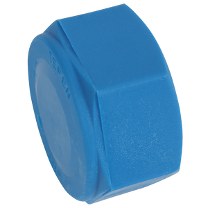 BSPT FEMALE BLANKING CAP BLUE