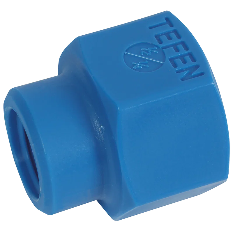 BSPT FEM REDUCE SOCKET BLUE
