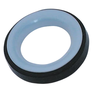 PTFE  GASKET FOR CAM