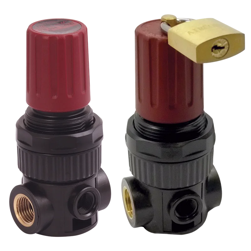 1/4 BSP MICRO REG FOR WATER 0-8B