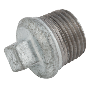 BSPT HOLLOW PLUG