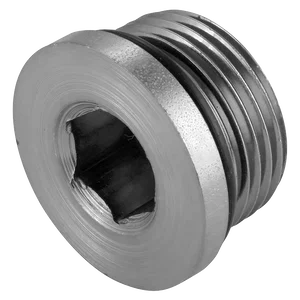 6041-SH UNF HOLLOW HEX O-RING STEEL PLUG