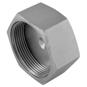 7030-ORFS FEMALE STEEL CAP
