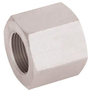 BSP FEMALE ADAPTOR
