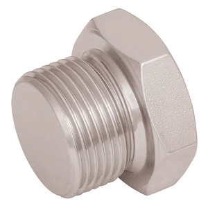 BSP BLANKING PLUG