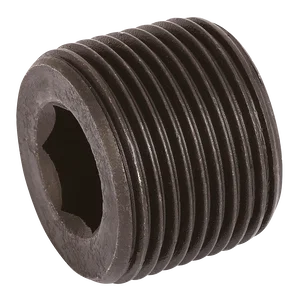 BSPT BLANKING PLUG