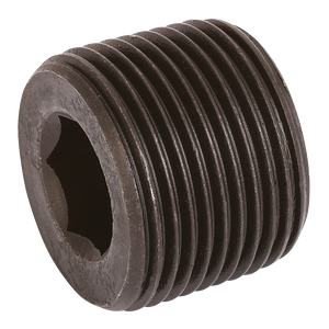 BSPT BLANKING PLUG