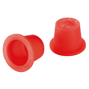 CAP/PLUG