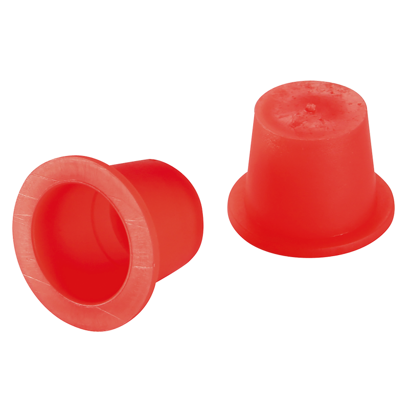 CAP/PLUG