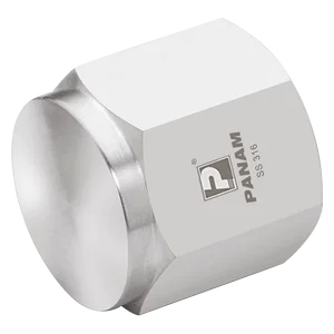 NPT FEMALE 316 PIPE CAP