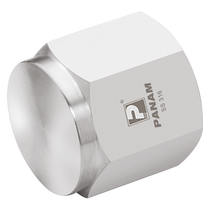 NPT FEMALE 316 PIPE CAP