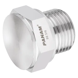 BSPP 10KPSI 316 PLUG