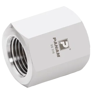 NPT 10KPSI 316 CAP