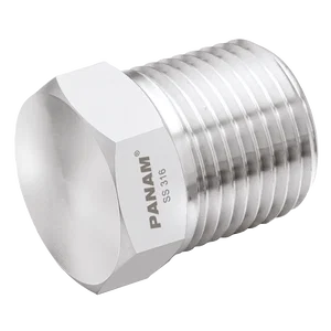 NPT 10KPSI 316 PLUG