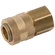 1/4 BSPP FEM   COUPLING BRASS UNPLATED