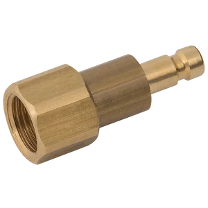 1/8 BSPP FEM  PLUG DS BRASS