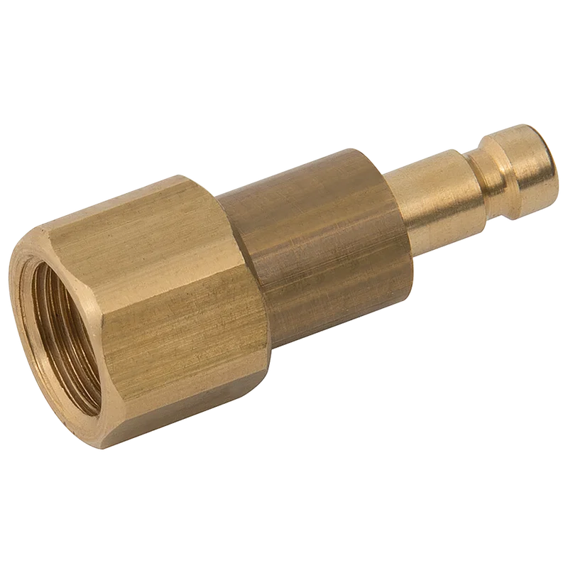 1/8 BSPP FEM  PLUG DS BRASS