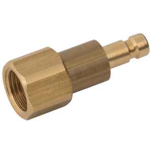 1/8 BSPP FEM  PLUG DS BRASS