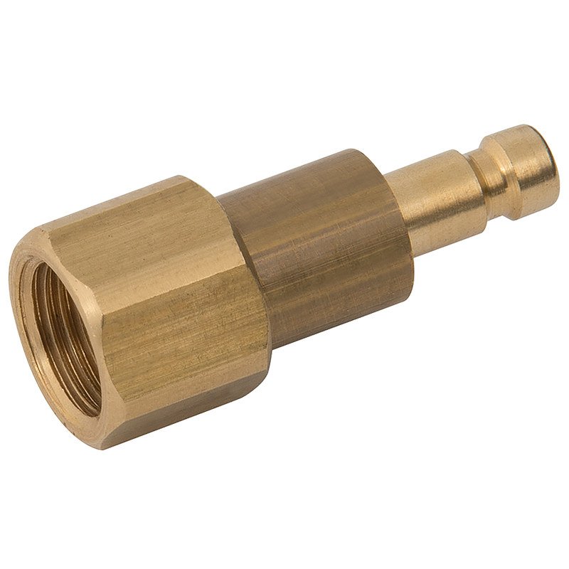 1/8 BSPP FEM PLUG DS BRASS