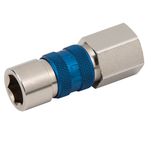BSPP FEM  COUPLING