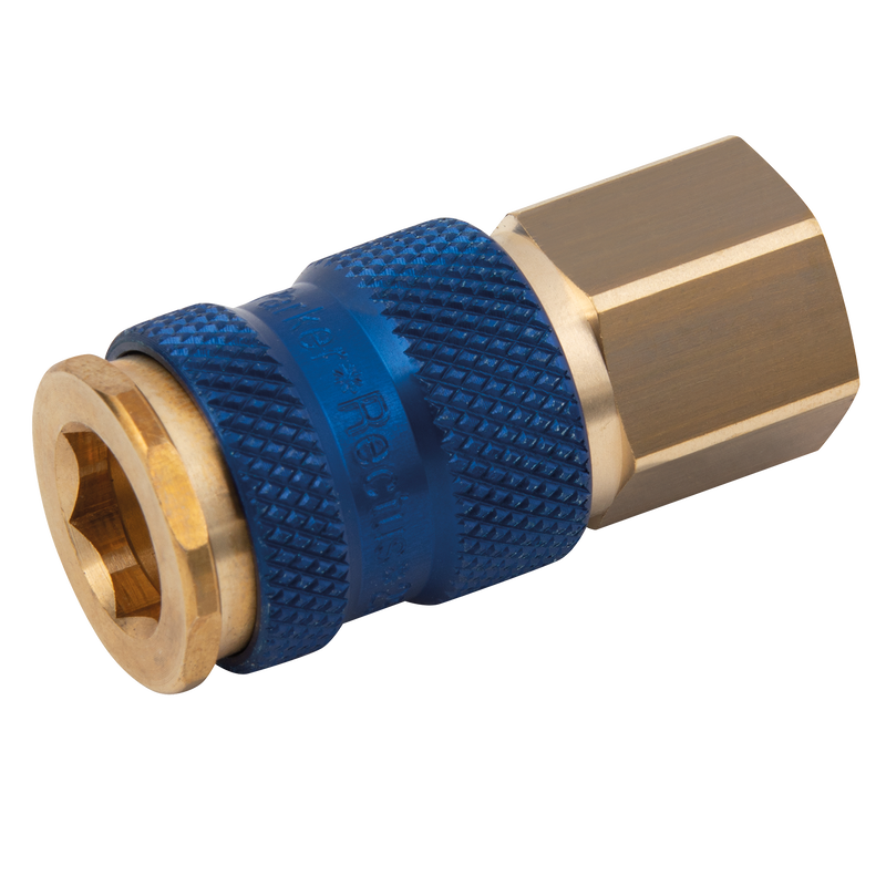BSPP FEM COUPLING