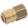 1/4 BSPP FEM  COUPLING D.S. BRASS