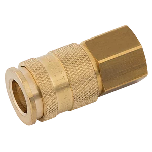 BSPP FEM  COUPLING D.S. BRASS