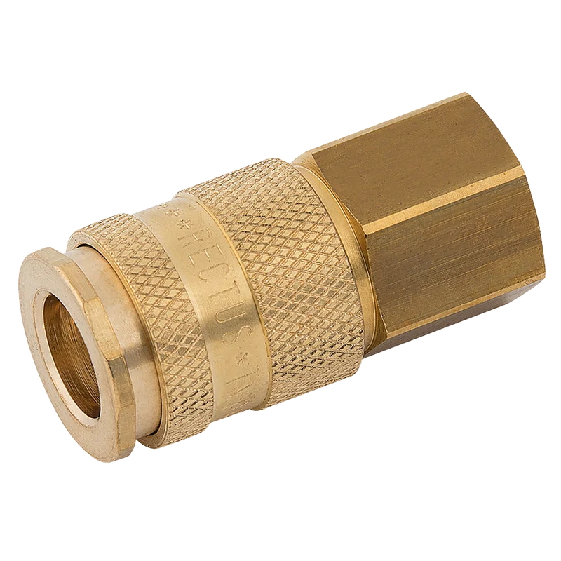 BSPP FEM  COUPLING D.S. BRASS
