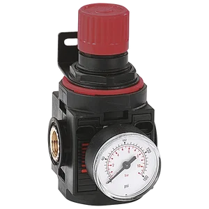BSP REGULATOR ASSEMBLY