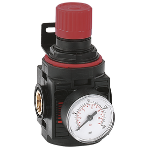 BSP REGULATOR ASSEMBLY