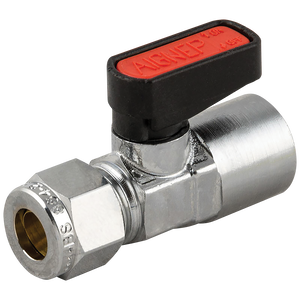 BSP FEMALE VALVE