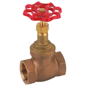 BSP FEM GUNMETAL GLOBE VALVE
