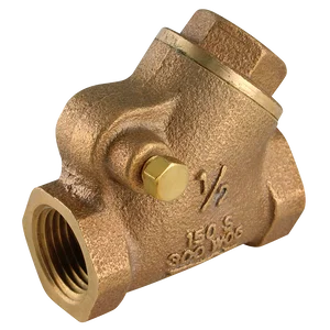 BSPT FXF BZ SWING CHECK VALVE