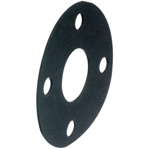 EPDM FULL FACE GASKET  NP16