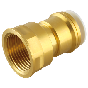 22MM X 1 BRASS FEMALE CYLINDER ADAPTOR