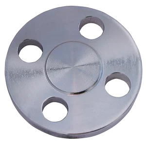 BLIND 150LB 316 FLANGE BS4504