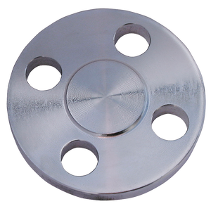 BLIND 150LB 316 FLANGE BS4504