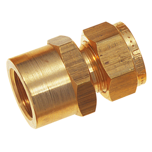 BSPP FEM PRESSURE GAUGE