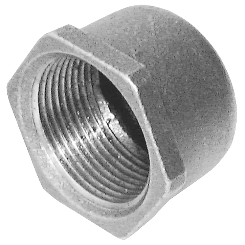 BSPT FEMALE BLANK CAP FIG185 GALV